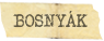 Bosny�kul